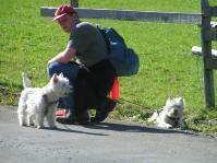 Klik op de foto voor groter formaat